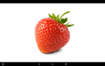 Garden of strawberries
