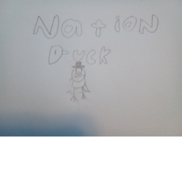 Duck Nation battle