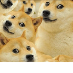 funny doge group 2