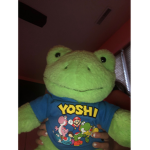 FROGGIE IN YOSHI SHIRT