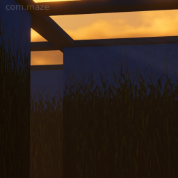 corn maze
