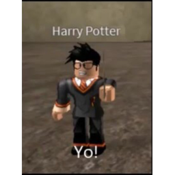 Harry Potter Life