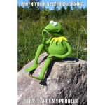 MEME COMMUNITY FOR MEMERS
