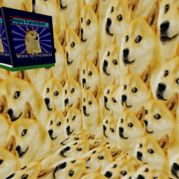 Doge Obby!