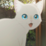 ~oreo's cat~