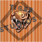 Tiger studios: