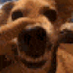 lala doggers