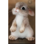 Rabbitplays