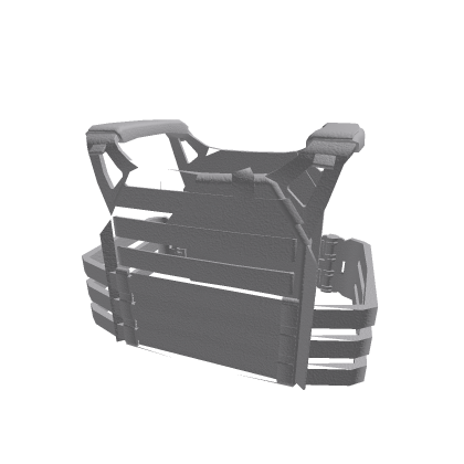 SB vest (1)