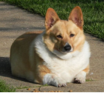 Síoća