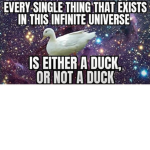 Duck People OwO
