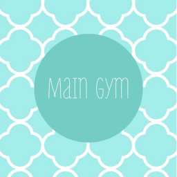 SCE Public Gym | New York