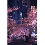Tʜᴇ ʙᴀᴋᴀ ɢʀᴏᴜᴘ