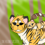 The Feline Society