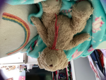 Teddy Rocks!