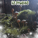 H.S STUDIOS