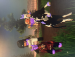 Maple Springs Eventing - Riding group x