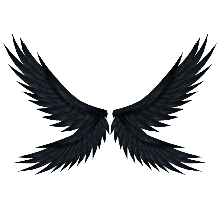Dark Shadow Raven Wings