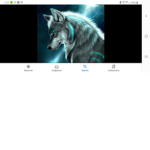 The warriors that are wolfs