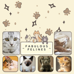 ~Fabulous Felines~