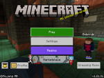 #TeamMinecraft!