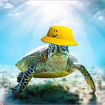 Buzzys Turtle Group Group Thumbnail