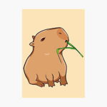 Capybara Suport Group