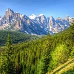 corruption upd forests and mountains