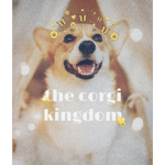 • The corgi kingdom •