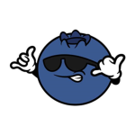 Blueberry squad 1