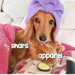 - shai’s apparel -