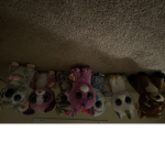 Beanie boo club