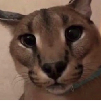 donate hang out game