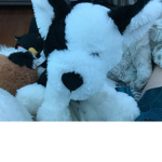 The Dogs are epic123 clan