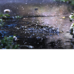 The Wet Wind