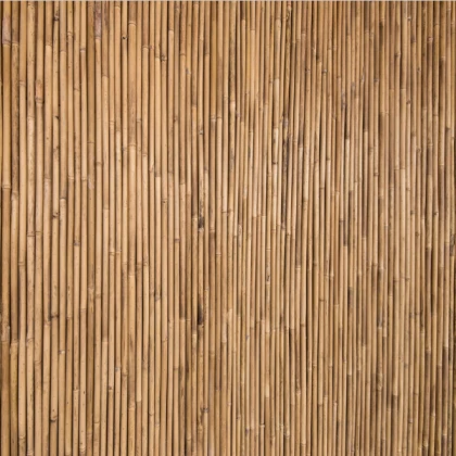 bamboo texture