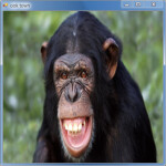 Welcome to Ook Town!