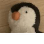 Join my group now! It’s penguin