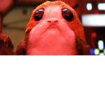 PORG ASSOCIATION OF AWESOMENESS