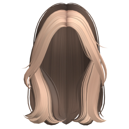 Two-Tone Aesthetic Preppy Hair (Brown & Blonde)