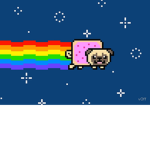 nyan-pug