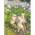 WE ARE HOLY WE ARE RATS