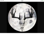 ISH_MoonMoo