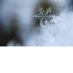 ~Frosty Biome~