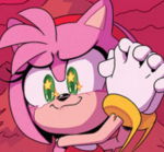 Amy’s Corner UGC