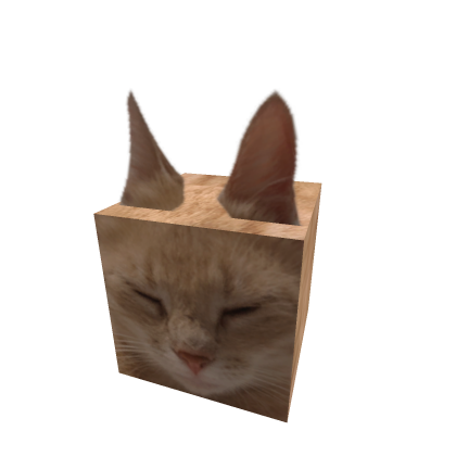 Ginger (Cat)