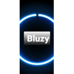 Bluzy