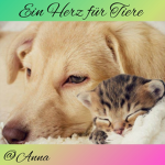 Ein Herz für Tiere
