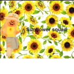 Sunflower squad,