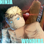Ninja Wonders